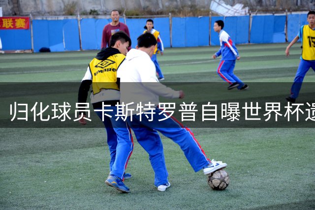 归化球员卡斯特罗普自曝世界杯遗憾：出场时间少 与家人团聚受阻