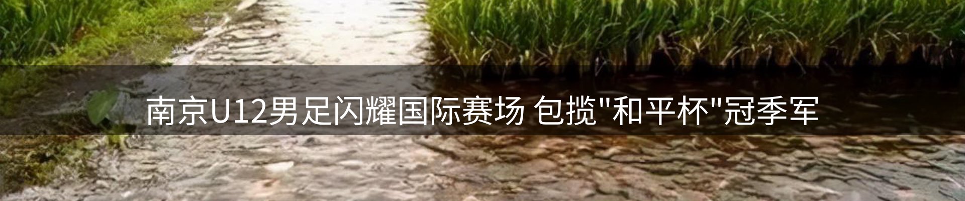 企业快讯