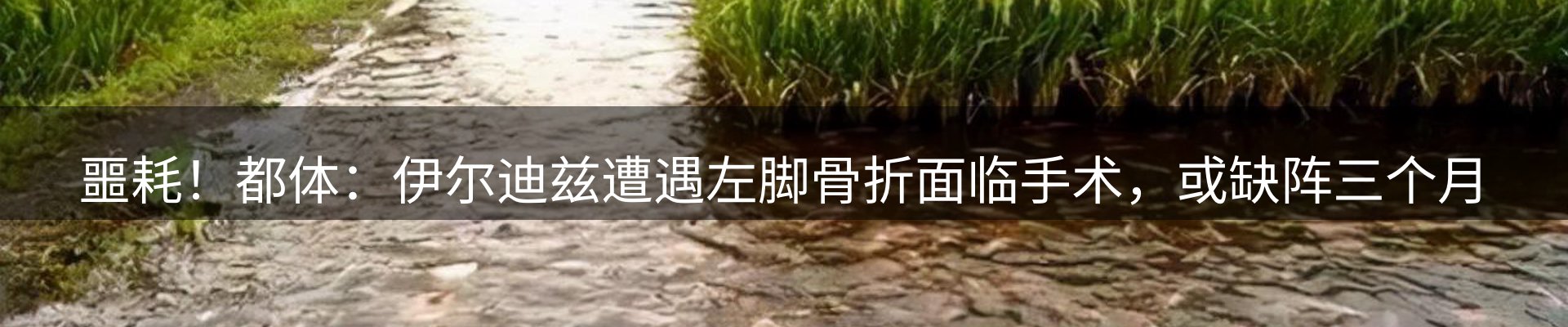 企业快讯