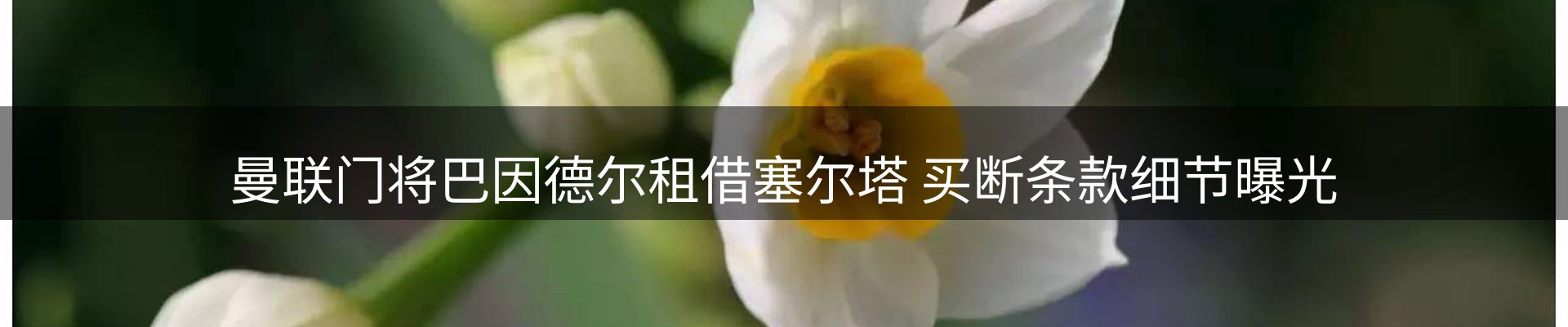 企业快讯