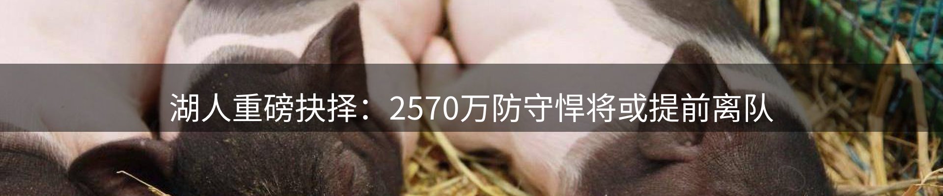 企业快讯