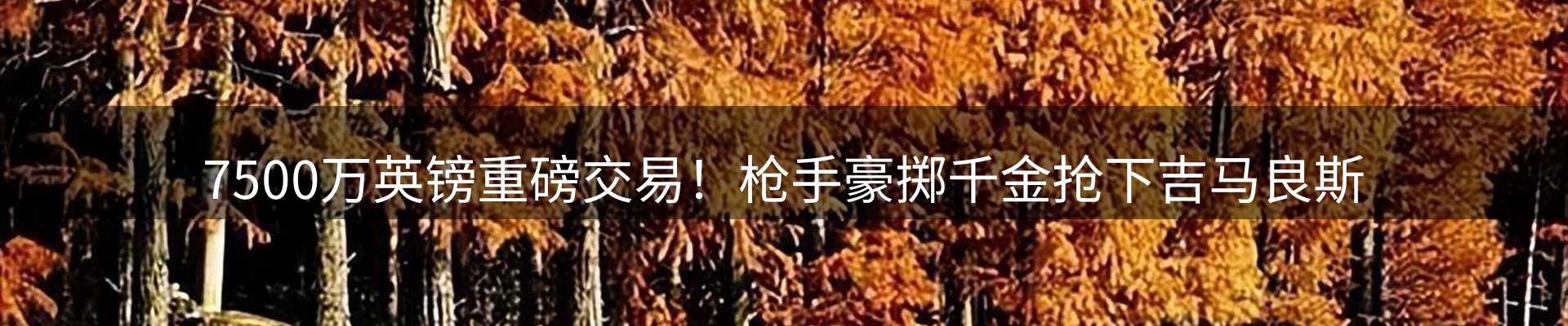 企业快讯